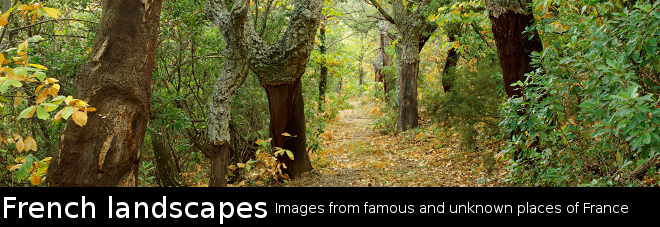 French Landscapes - Nature and landscape photography from France
