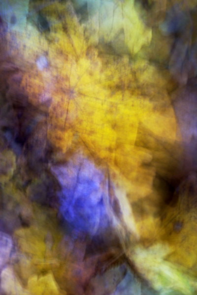 Abstract photograph of some autumn leaves blended by camera movement during the exposure