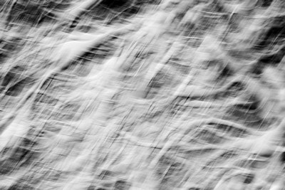 Black and white abstract image of some snow on the branches of the trees of Valserine forest