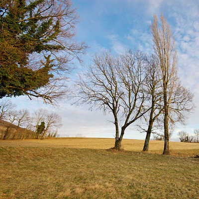 Rural landscape in winter on the Plateau des Daines