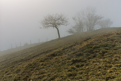 Rural landscape in the mist on Vuache mountain