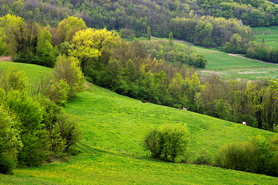 Rural landscape et springtime around Arcine - Haute Savoie