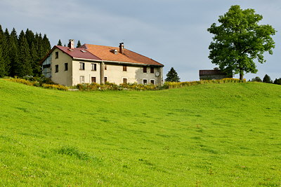 House and tree around Bellecombe in Jura mountains