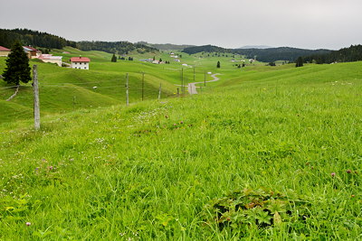 Photo of the green meadows of Jura mountains under the rain