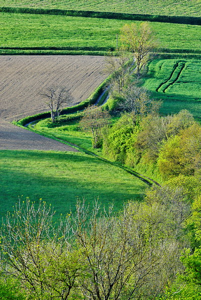 Image of the french countryside at springtime
