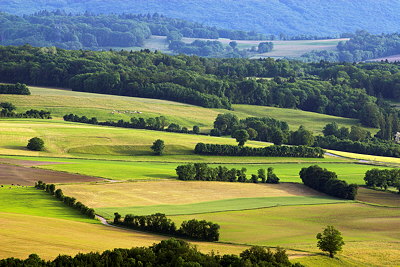 Photo of the french countryside at springtime