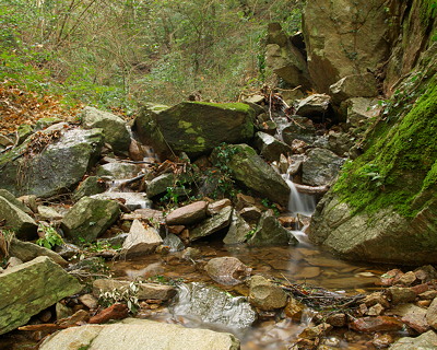 Running water in Provence forest