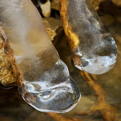 Ice formations in the Fornant river