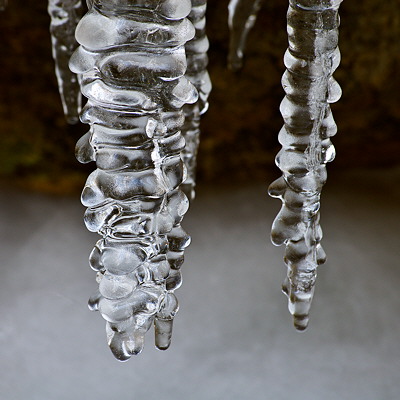Ice stalactites in the Fornant river