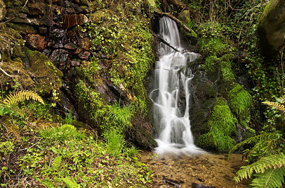 Spring waterfall in the Cévennes National Park