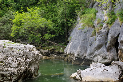 Cheran river in the Massif des Bauges Narural Park