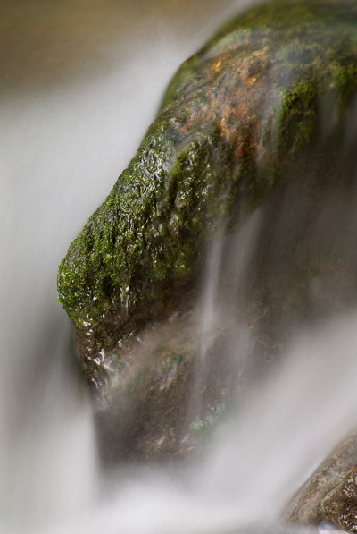 Photo of one mossy rock standing in the running water of Fornant river