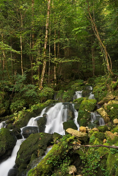 Photo of a little stream running through Jura forest