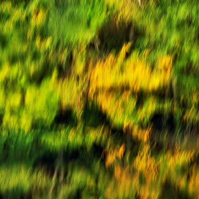 Abstract photograph of autumn colours reflected in the Rhône river