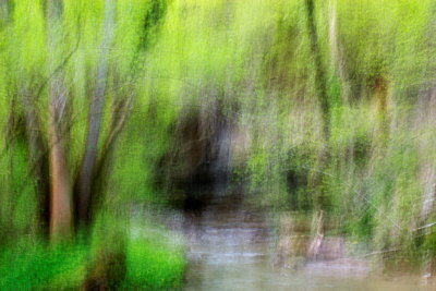 Abstract landscape along Fornant river