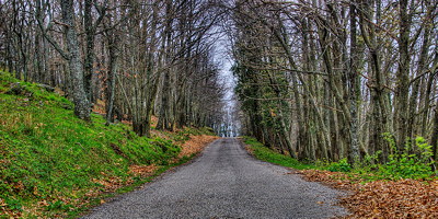 HDR landscape of a road through the Provence forest